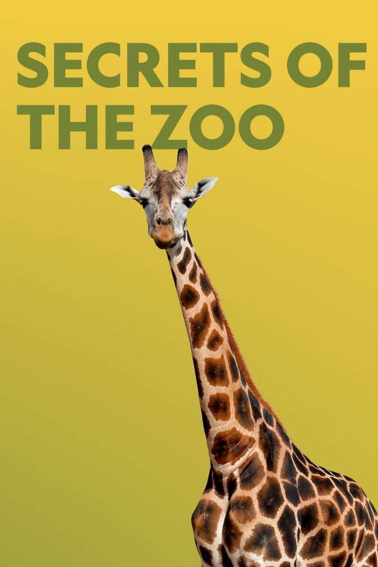 Secrets Of The Zoo artwork