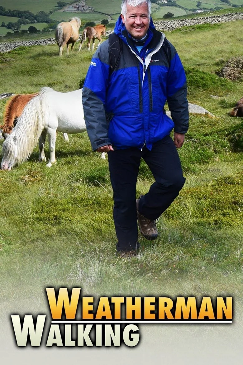 Weatherman Walking artwork