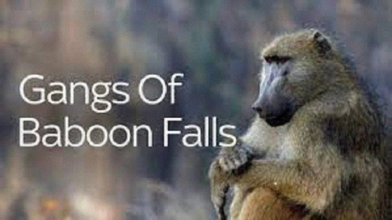 Gangs of Baboon Falls artwork