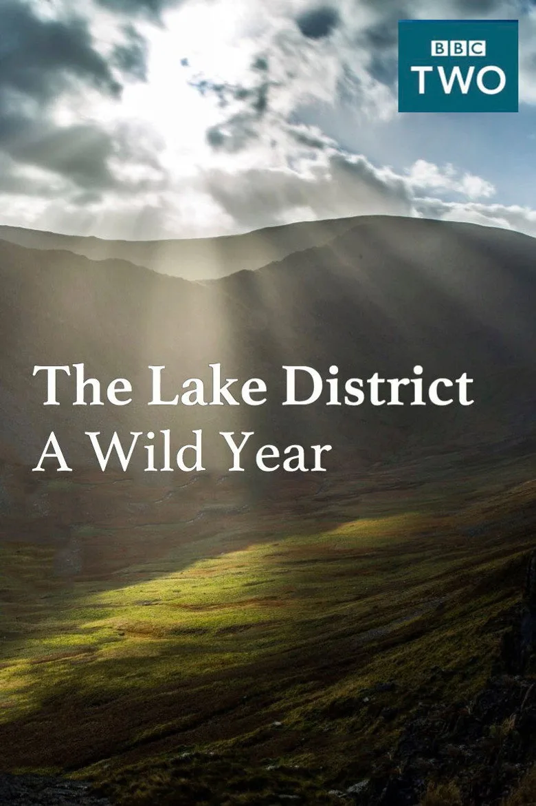 The Lake District: A Wild Year artwork