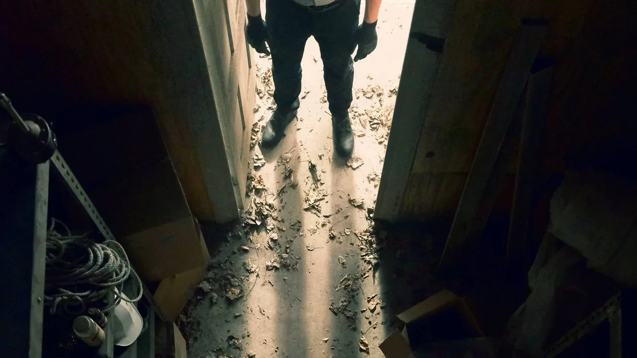 Murder Comes Home artwork