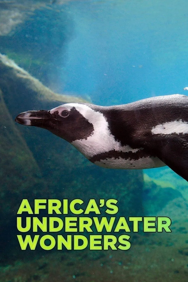 Africa's Underwater Wonders artwork