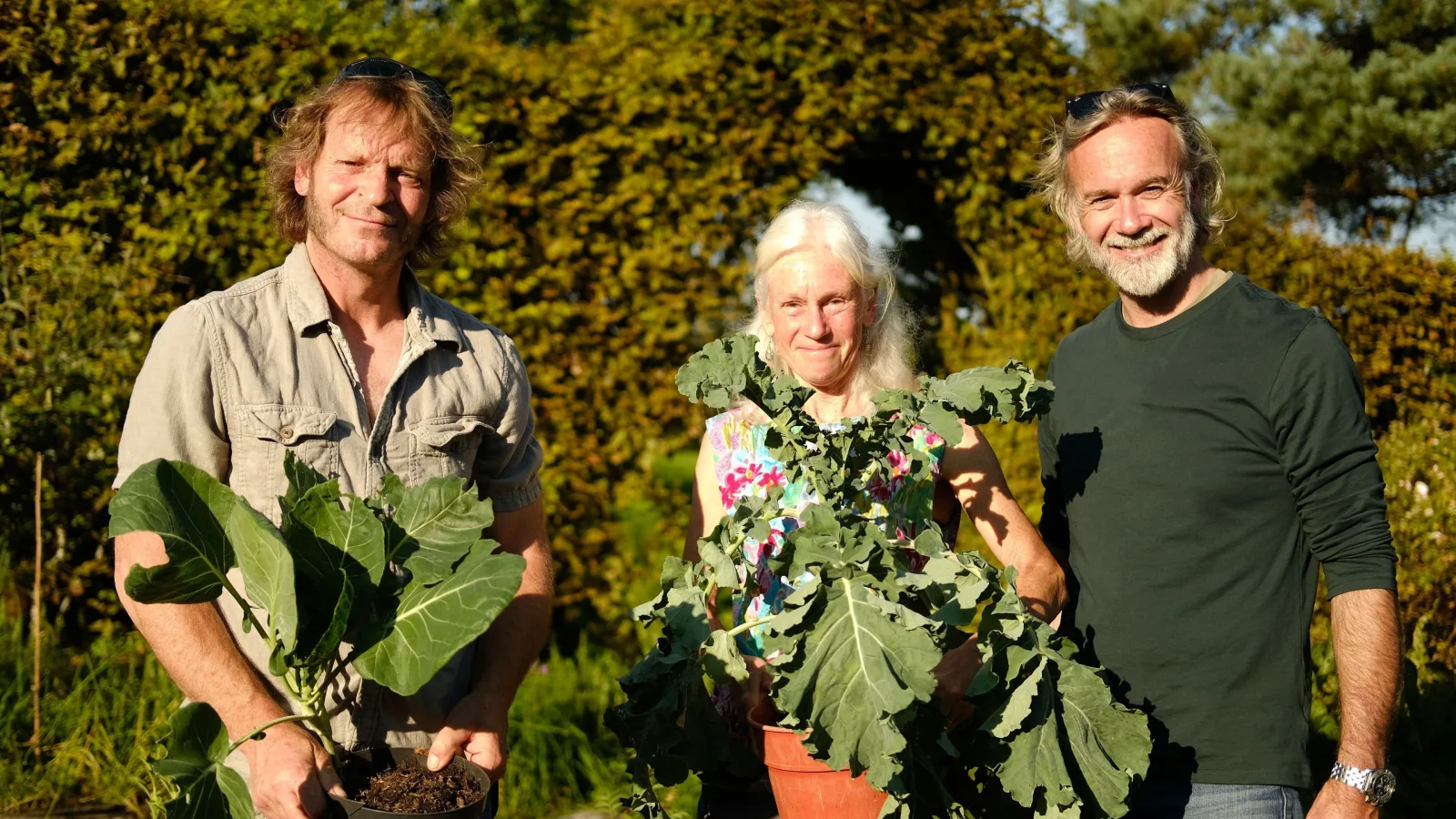 Tales from a Kitchen Garden artwork