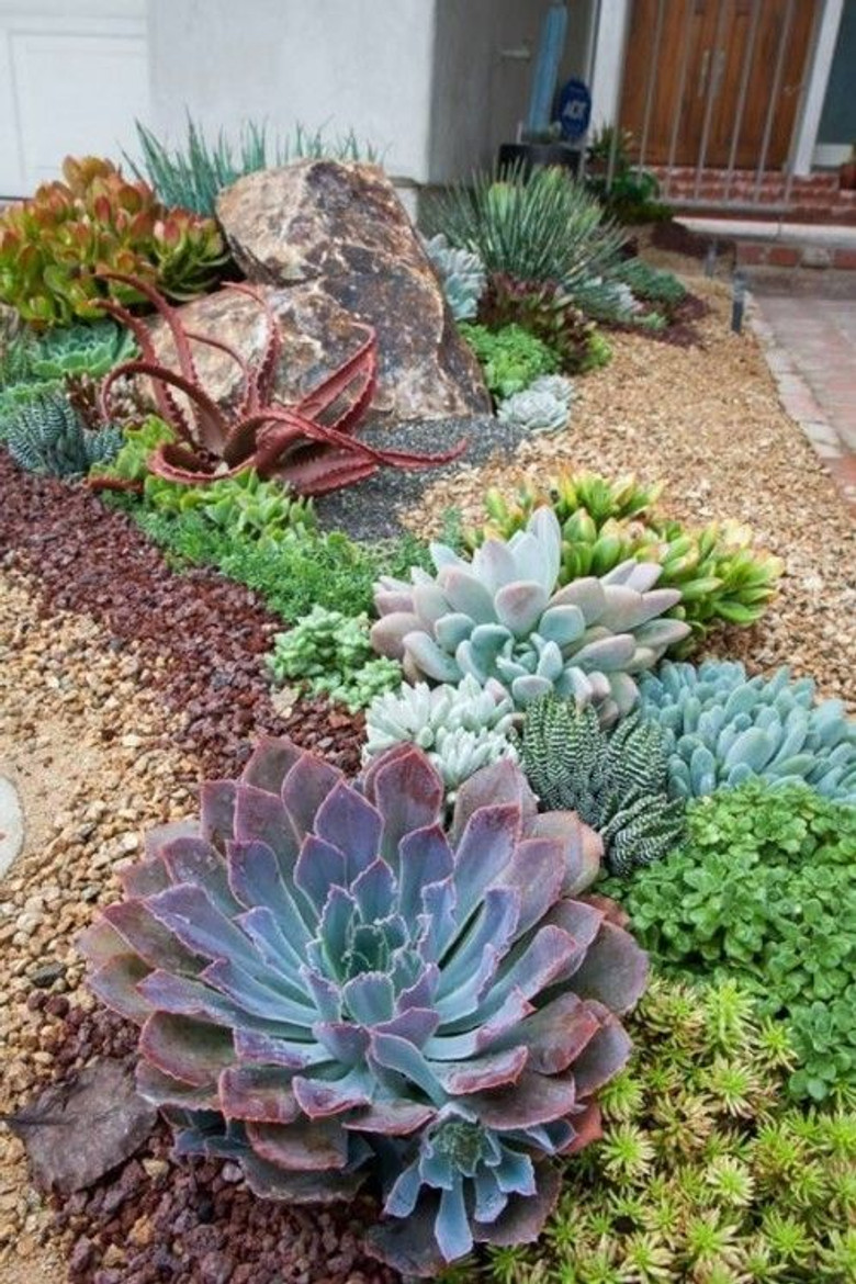 The A to Z of TV Gardening artwork