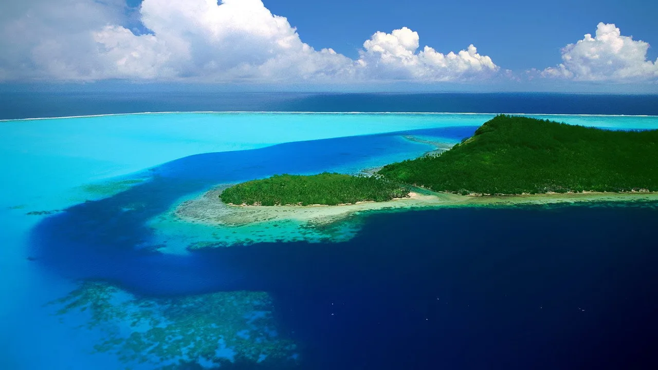 South Pacific artwork