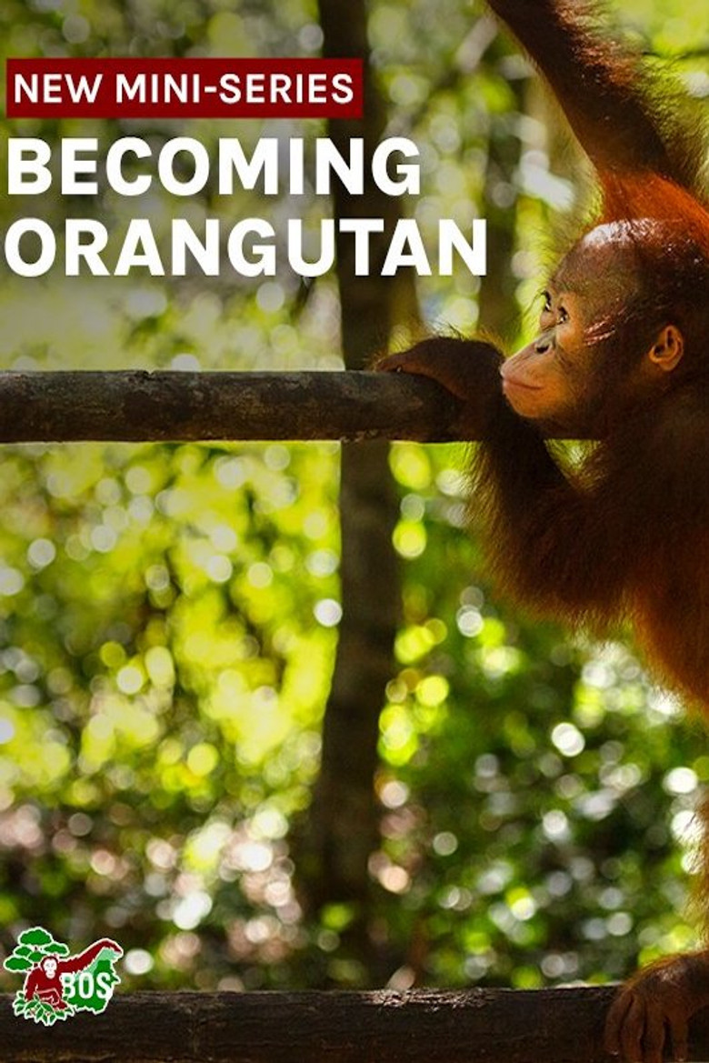 Becoming Orangutan artwork
