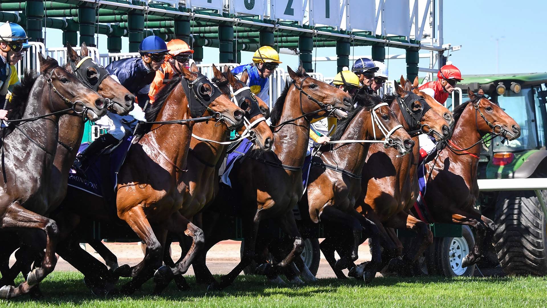 Australian Racing Live artwork