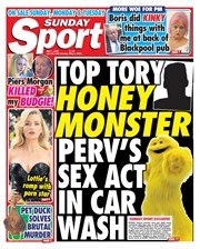 Sunday Sport artwork