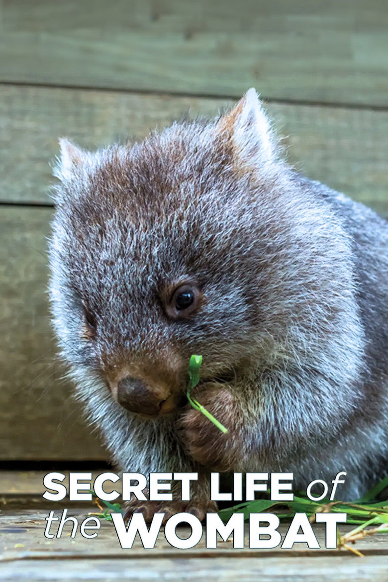 Secret Life of the Wombat artwork