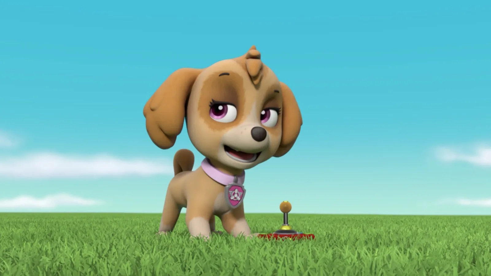 **Visually Signed** PAW Patrol artwork