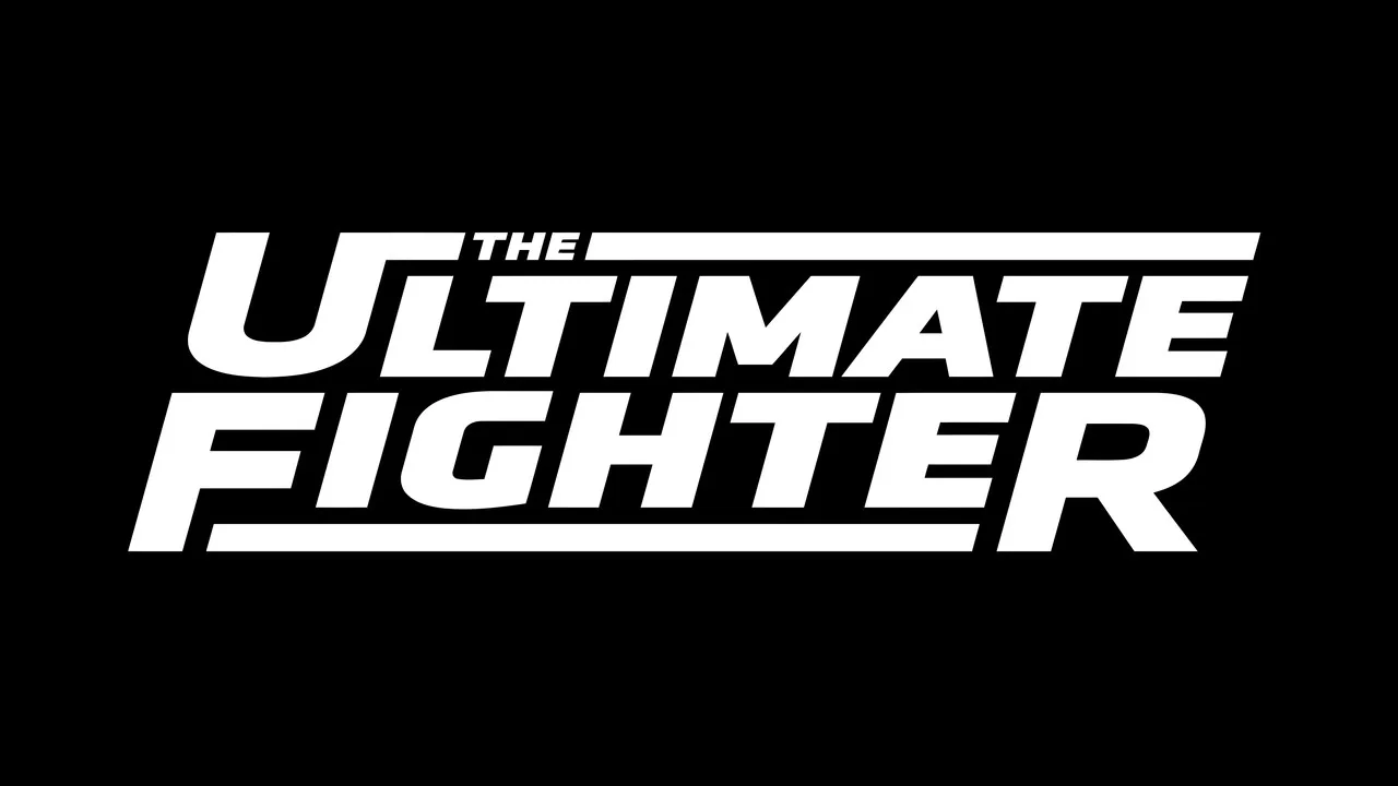 UFC: The Ultimate Fighter (?) artwork