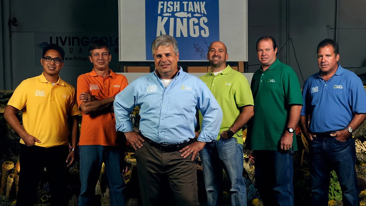 Fish Tank Kings artwork