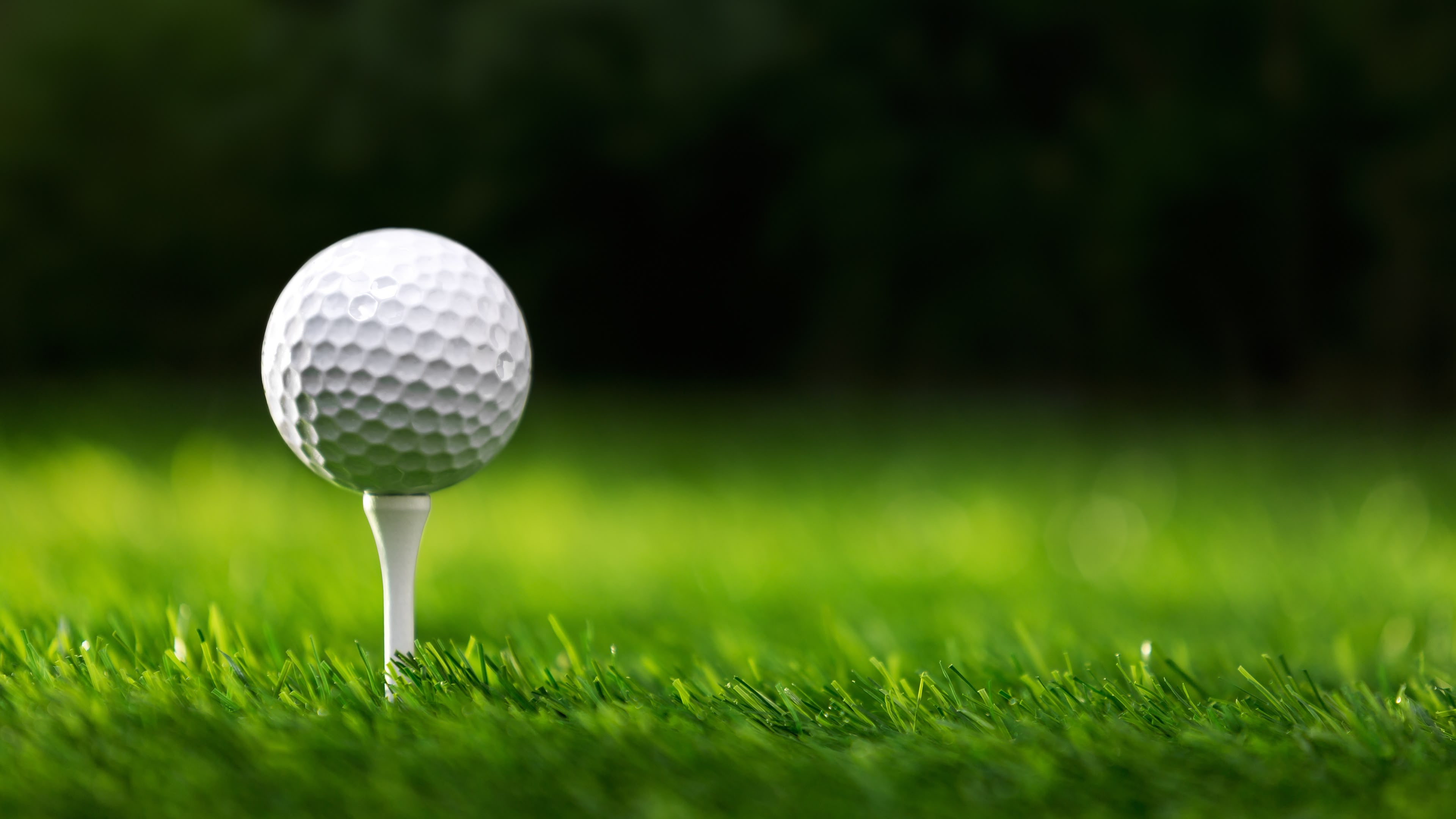 Rocket Mortgage Classic 2023 Hlts artwork