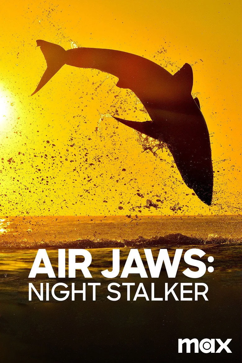 Air Jaws: Night Stalker artwork