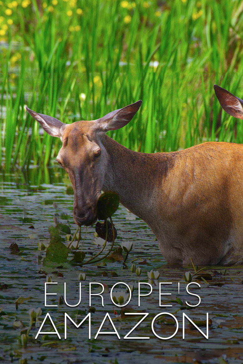 Europe's Amazon artwork