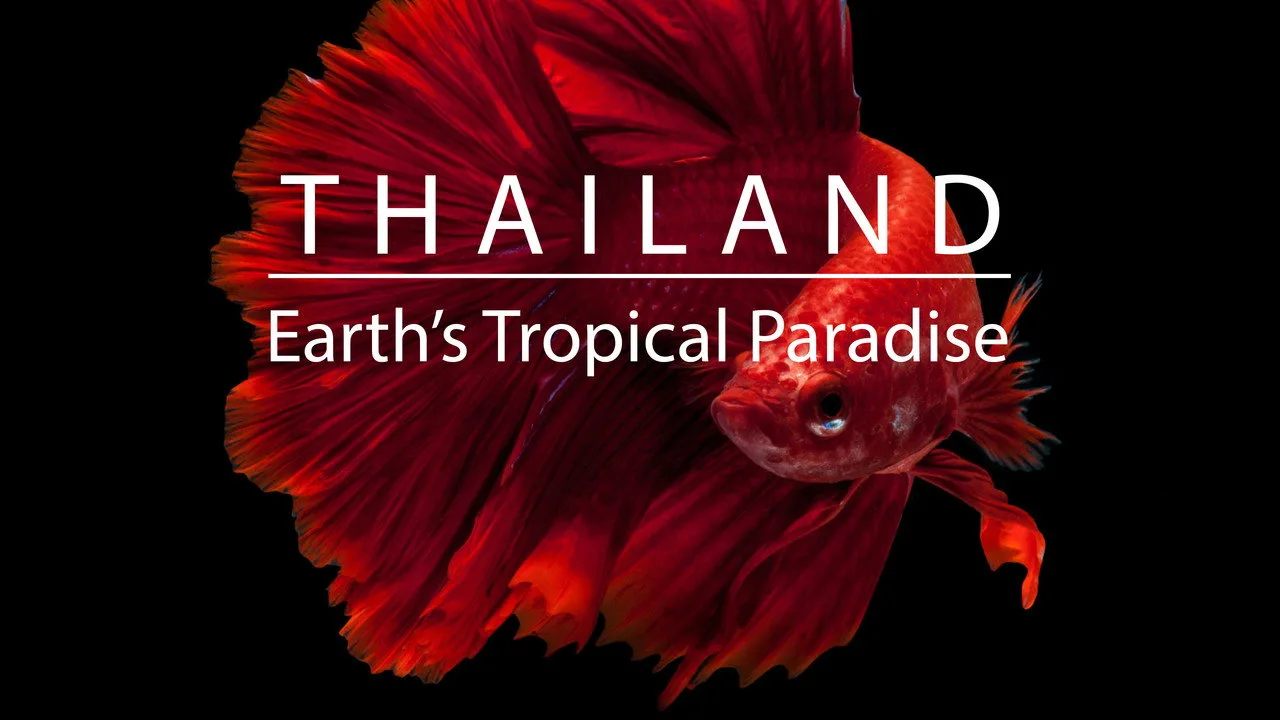 Thailand: Earth's Tropical Paradise artwork
