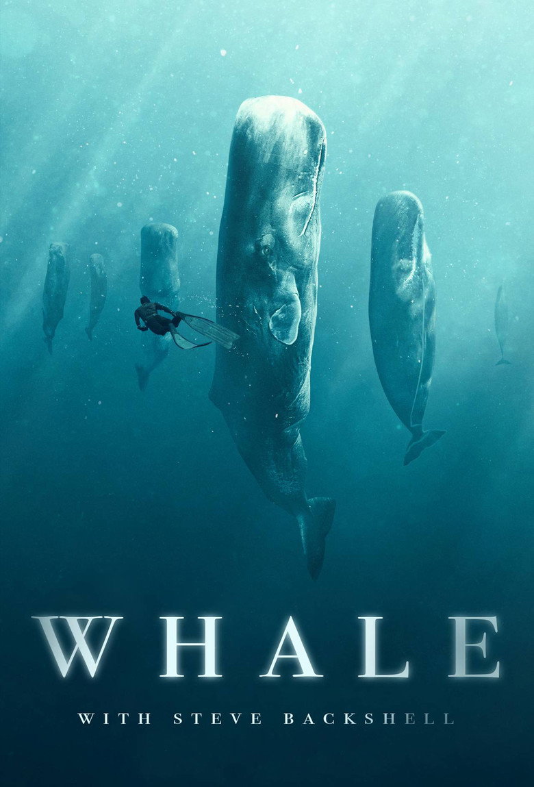 Whale with Steve Backshall artwork