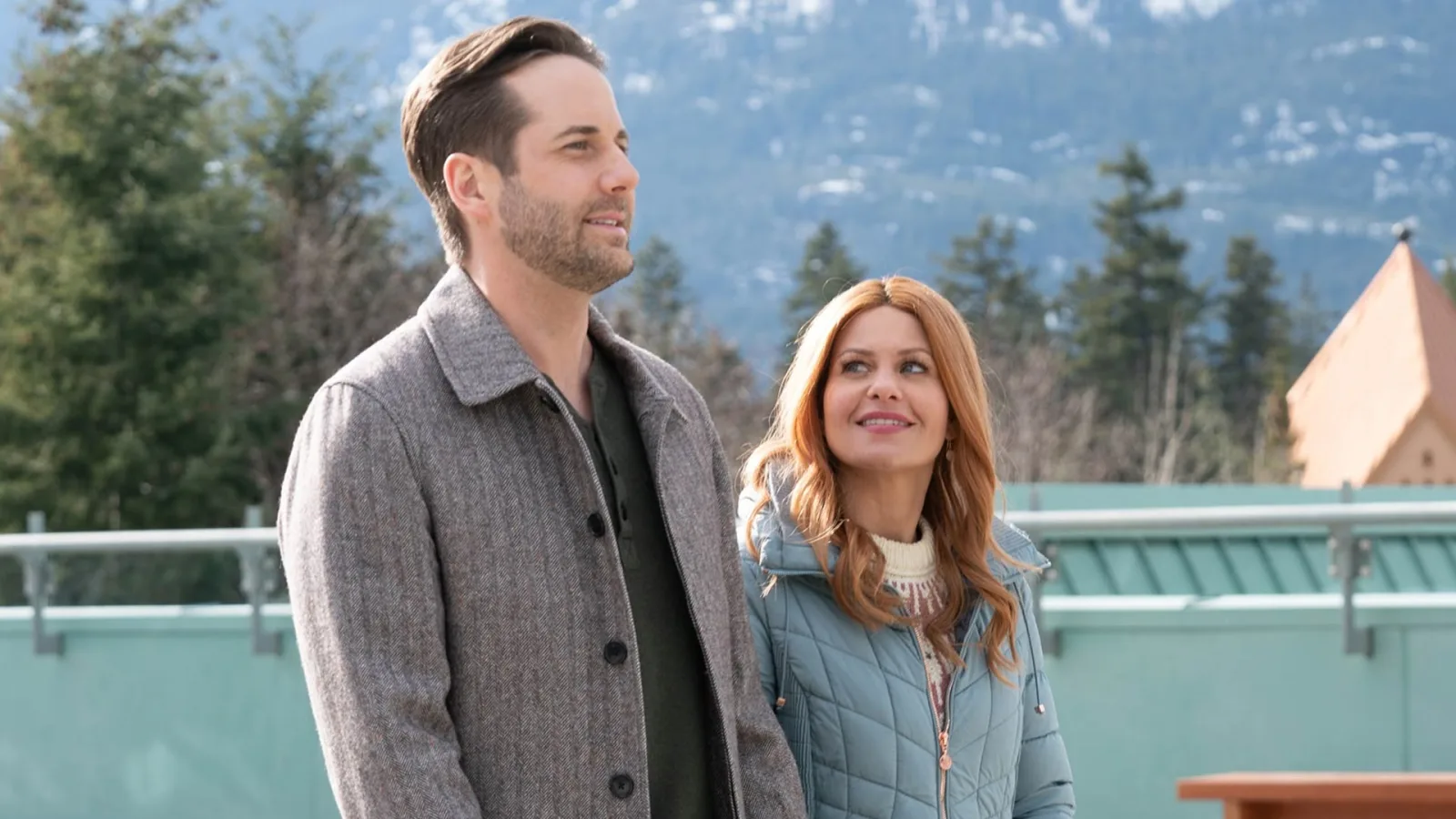 An Aurora Teagarden Mystery: A Very Foul Play artwork