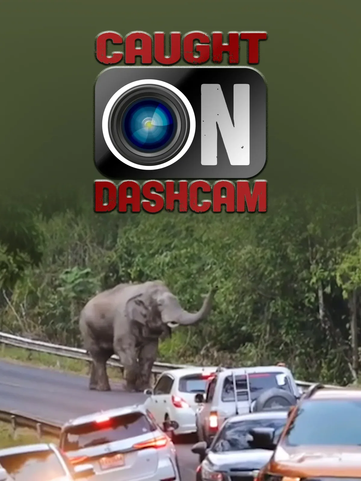 Caught On Dashcam artwork