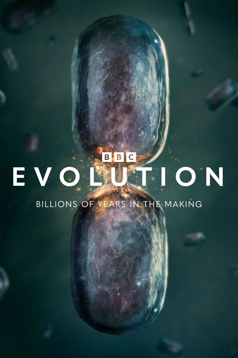 Evolution artwork